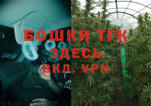 индика Надым