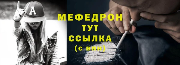 индика Надым