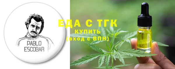 индика Надым