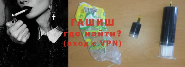 индика Надым