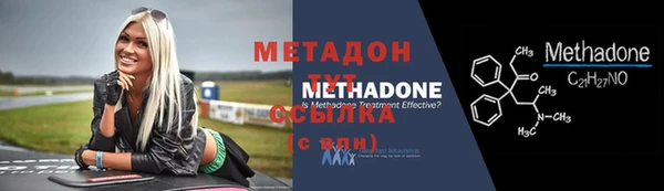 индика Надым