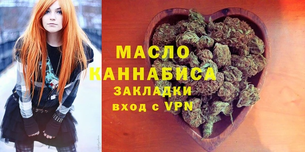 индика Надым