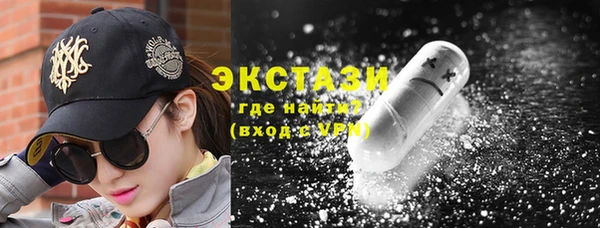индика Надым