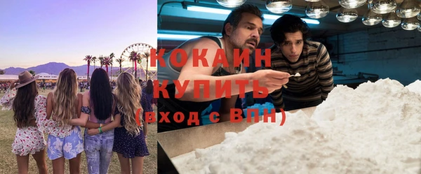 индика Надым