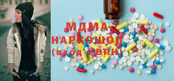 индика Надым