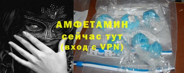 индика Надым