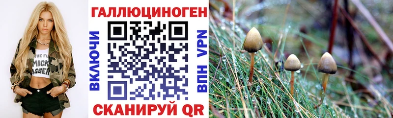 мориарти как зайти  наркота  Джанкой  Псилоцибиновые грибы Psilocybine cubensis 