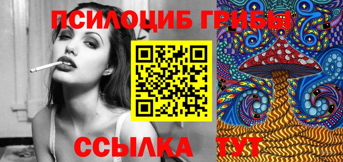 Псилоцибиновые грибы Psilocybe  Джанкой 