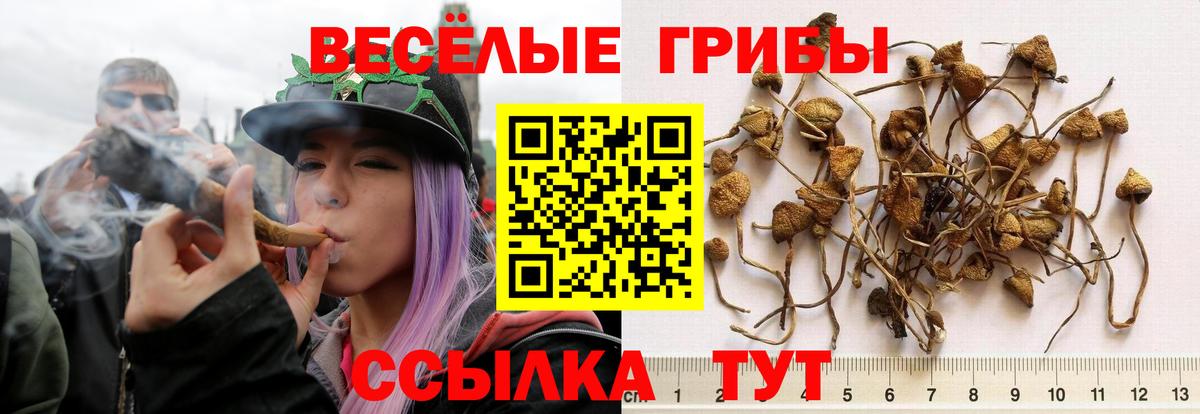 Галлюциногенные грибы ЛСД  Вход с VPN  Джанкой  Псилоцибиновые грибы ЛСД 