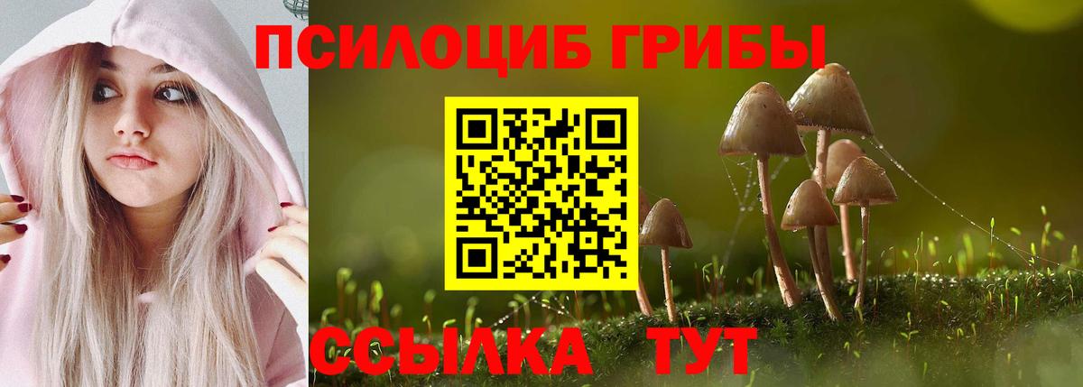Псилоцибиновые грибы прущие грибы Джанкой